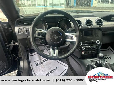 2021 Ford Mustang GT Fastback